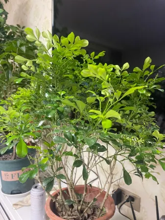 Minxiuzhijia Apartment (Kuangshan Street) Отели в г. Цзиньчжоу