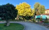 Park Sedo Aparthotel Hotels near Bar Zipi Zape