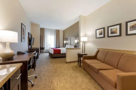 Comfort Suites Ontario Airport Convention Center