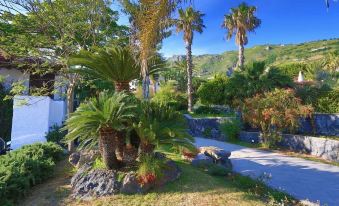 B&B Hotel Ischia San Nicola