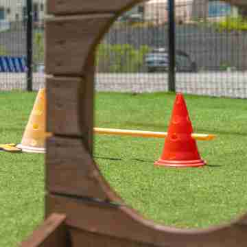 Gapyeong Dingdongdaeng Pet&Spa Poolvilla Others