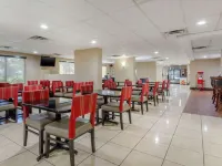 Comfort Inn St Petersburg North Hotels in St. Petersburg