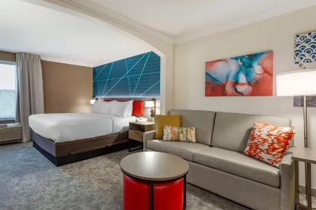 Comfort Inn & Suites Отели рядом с достопримечательностью «Юниверсити оф Массачусетс Амхерст»