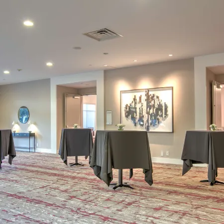 Hilton Garden Inn Dallas/Arlington