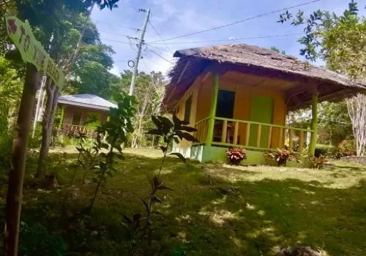 Maes y Gwaelod - Housity