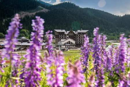 Гостиничный комплекс Романтик