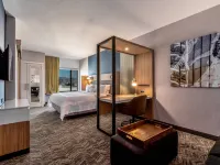 SpringHill Suites Oakland Airport Hotels near Oakland San Francisco Bay Airport