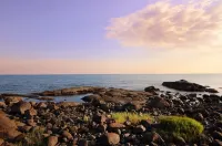 Sea Salt Air Changes Everything - ⭐️Stroll to Private Association Beach⭐️