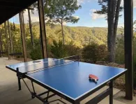 Private Cabin with  Mountain Views, Fire Pit, Wraparound Deck, and Game Room!