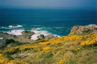Tin Miner's Cottage Near the Coast Hotels in Pendeen