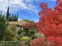 Downtown Eclectic Bungalow Hotels in Oakdale