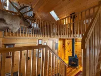 Romantic Secluded Creekside Cabin w/ Hot Tub, Private Escape Hotels in Freeman