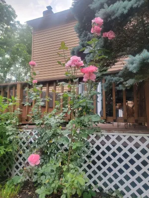 Luxury Country Cottage guest suite