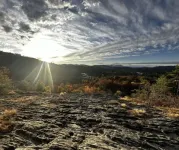 IN TOWN! 2 Blocks From Main Street. 2 Bedrooms/2 Baths. Free WiFi. Sleeps 4.