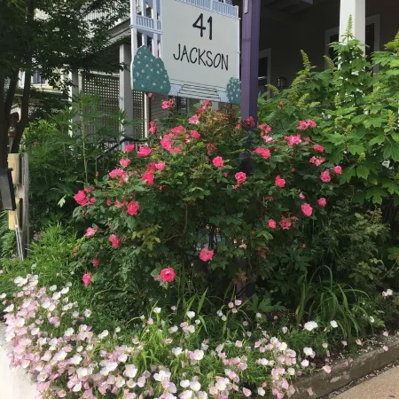 Cozy 2 Br Apt in Historic Cape May, NJ