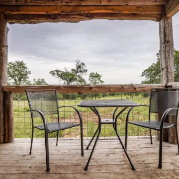 Peaceful cabin, fully updated, wine, stars, spa, perfect for relaxing