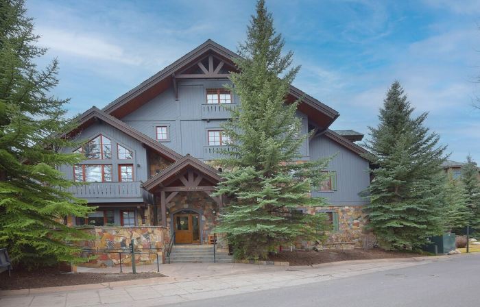NEW Ski In/Out! Spacious, Hot Tub, Spruce Tree Lodge,  Arrowhead/Beaver Creek