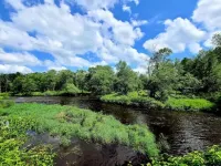 Riverfront cottage. Hiking, fishing, relaxing, pet friendly !