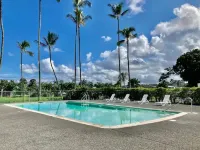 Best View in Hilo - Pool, WIFI, 2 BD Condo