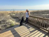 Beachfront Getaway, Dolphin Suite, 🐶 💙