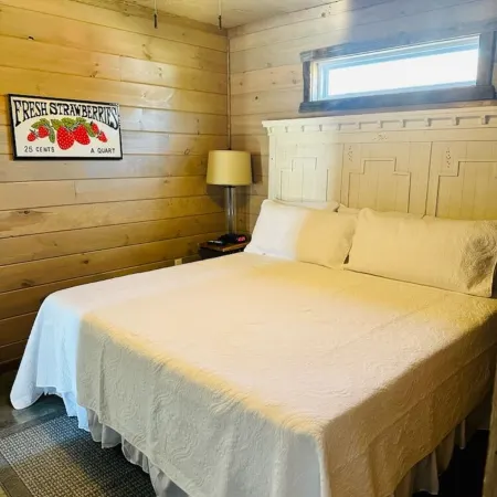 Knotty Squirrel Unit 2 King Suite with Ladder Loft