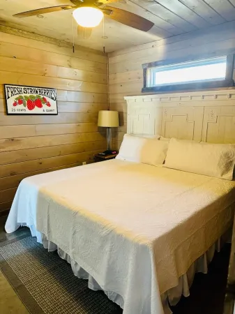 Knotty Squirrel Unit 2 King Suite with Ladder Loft Отели в г. Маунтин-Вью