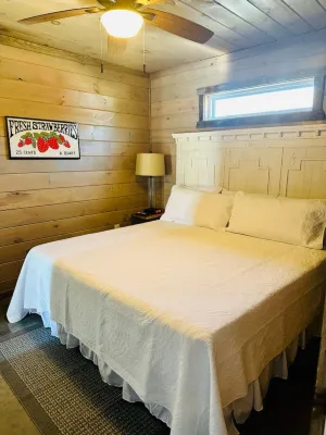 Knotty Squirrel Unit 2 King Suite with Ladder Loft