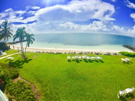 Private Tropical Beach-White Sand, Crystal Clear water! Pool WIFI It's Loaded!