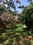 Studio Avec Terrasse Couverte et Jardin au Calme