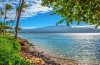 Beachfront condo in Maalaea - 2 Bedroom 2 Bath - Ground floor, AC!!!