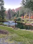 Piney Creek - Deerwood Park Cozy Mountain Cabin w/ 360 views & private pavillion