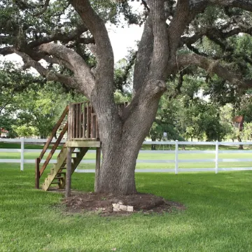 Beautiful hill country peace.