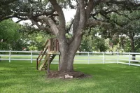 Beautiful hill country peace.