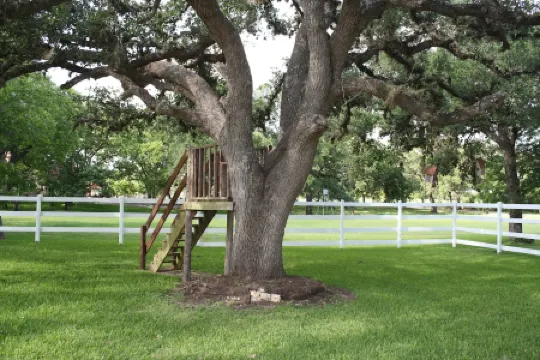 Beautiful hill country peace.