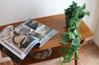 Alcyone apartment in the city center