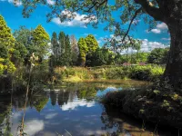 Spacious dog-friendly cottage in an idyllic rural setting near amazing beaches Hotels in Boncath