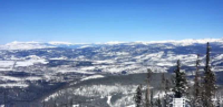 Beautiful Spacious Condo.