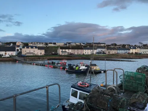 Bayview Cottage Portmahomack - Lovely Highland Cottage, Wonderful Coastal Views Hotels in Tain