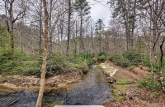 Family and pet friendly cabin on a creek. 10 minutes to downtown Cashiers