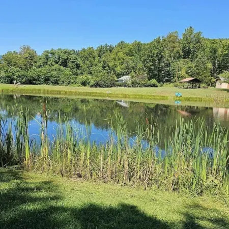 Pet friendly home, pond, paddle boat, fishing gear, hiking, wineries, game room