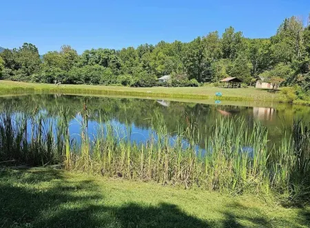 Pet friendly home, pond, paddle boat, fishing gear, hiking, wineries, game room