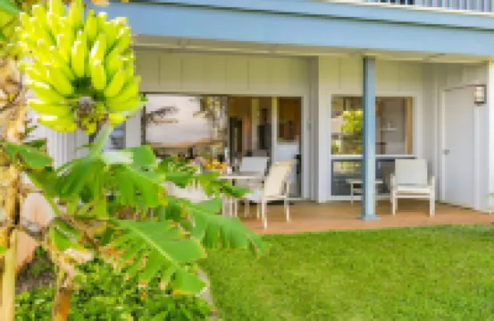 Deluxe Ocean View Ground Floor.... Renovated ..Walk to the Hyatt and Beach...A/C