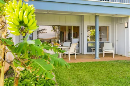 Deluxe Ocean View Ground Floor.... Renovated ..Walk to the Hyatt and Beach...A/C