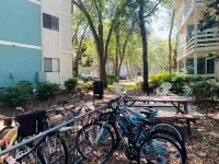 The Beach is Calling.. Your Beachside Oasis Awaits! 2Bd/2B with Many Amenities