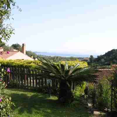 Villa with beautiful garden overlooking the sea Hotel Exterior