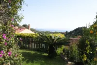 Villa with beautiful garden overlooking the sea - 3-Star
