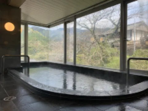 土佐和紙工芸村くらうど いの町のホテル