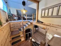 Enjoy your stay at the Cabin Creek Inn Hotels in Inkom