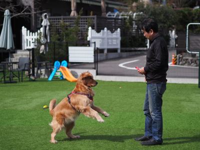 キッズルーム/キッズクラブ 和モダンな温泉旅館 湯布院らんぷの宿の写真