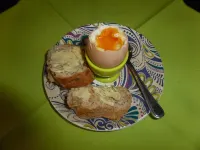 트레곤데일 매너 팜 펜실바 호텔